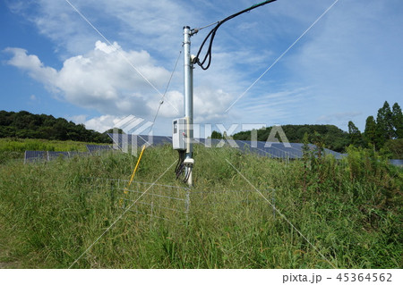 雑草に囲まれた太陽光発電所 雑草に囲まれた太陽光発電所 45364562