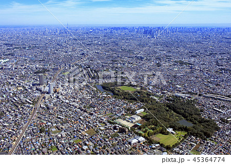 石神井公園上空／郊外の住宅地、空撮、2018撮影 45364774