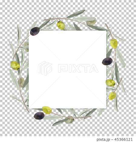 Olive leaf and berries frame watercolor... - Stock Illustration ...