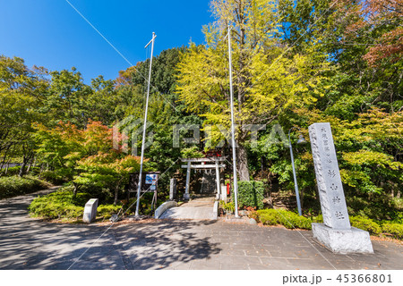 横浜市都筑区 茅ヶ崎杉山神社の風景 45366801