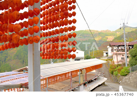 くしがきの里 45367740