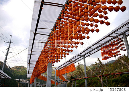 くしがきの里 45367808