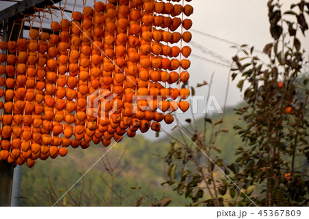 くしがきの里 45367809