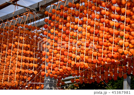 くしがきの里 45367981