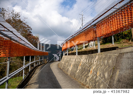 くしがきの里 45367982