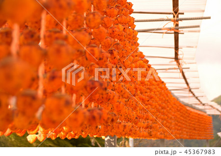 くしがきの里 45367983