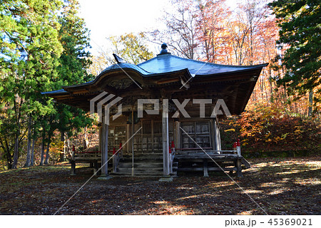 観音沼森林公園へ行きました #38 観音沼森林公園へ行きました #38 45369021