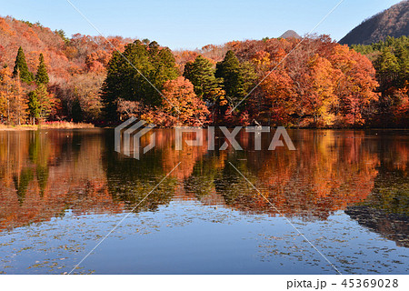 観音沼森林公園へ行きました #31 観音沼森林公園へ行きました #31 45369028