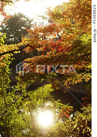 紅葉イメージ(長崎県:野岳湖) 紅葉イメージ(長崎県:野岳湖) 45369623