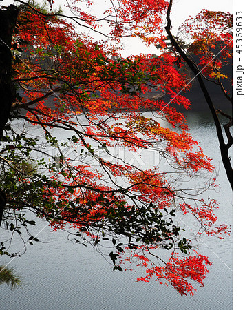 紅葉イメージ(長崎県:野岳湖) 紅葉イメージ(長崎県:野岳湖) 45369633