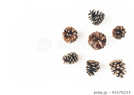 Winter simple styled botanical arrangement. Composition of pine cones isolated on white table Winter simple styled botanical arrangement. Composition of pine cones isolated on white table 45370233