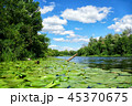 Scenic view of the Dnieper River in sunny day 45370675