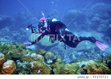 Losin south of Thailand 2018 Losin south of Thailand 2018 45370721