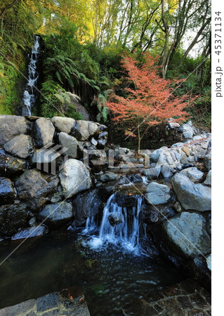 観音滝公園の紅葉 観音滝公園の紅葉 45371134