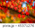 紅葉・秋イメージ 45371276