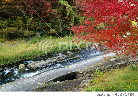 秋の観音滝公園　穴川と紅葉 45371484