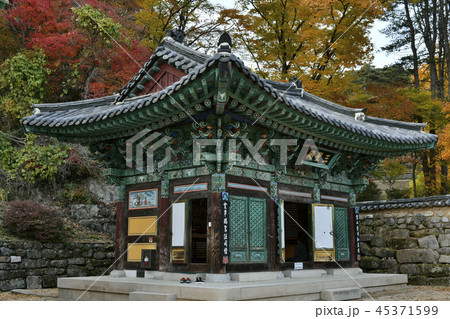 法住寺 俗離山 報恩郡 45371599