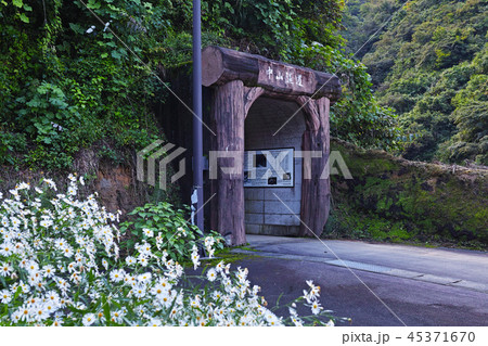 【新潟県】日本最長・旧中山隧道（手掘りトンネルとしては長さ日本一） 45371670