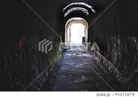 【新潟県】日本最長・旧中山隧道（手掘りトンネルとしては長さ日本一） 45371679