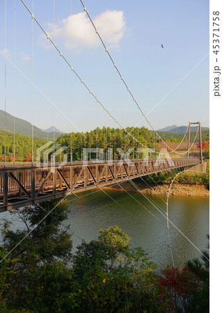 野岳大橋(長崎県：野岳湖：秋の行楽シーズン) 45371758
