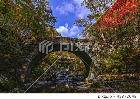 紅葉 風景 仙岩寺 45372048