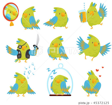 Flat vector set of parrot in different situations. Cute bird with bright green and blue feathers 45372125