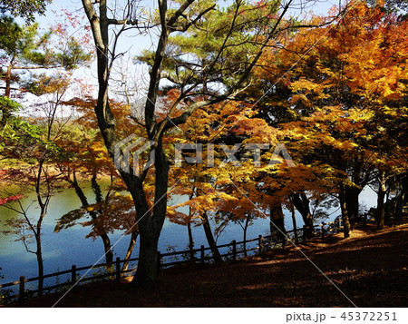 紅葉イメージ(長崎県:野岳湖) 紅葉イメージ(長崎県:野岳湖) 45372251
