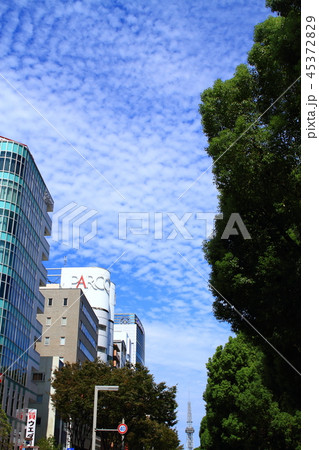 名古屋市　都市風景 45372829