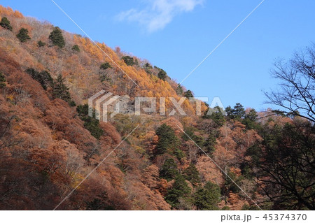 紅葉登山 紅葉登山 45374370