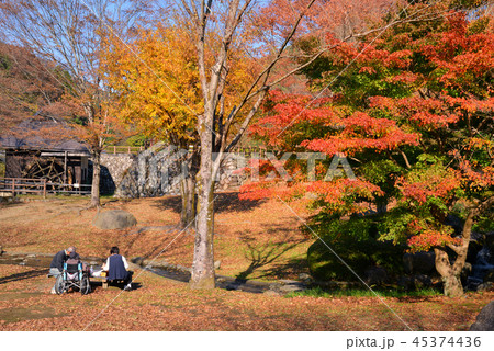 紅葉狩りのシニア夫婦とその母親 紅葉狩りのシニア夫婦とその母親 45374436