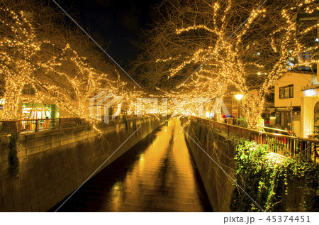 目黒川のイルミネーション 45374451