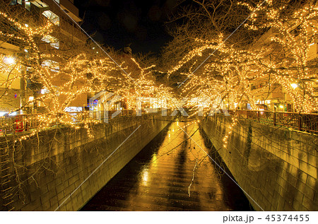 目黒川のイルミネーション 45374455