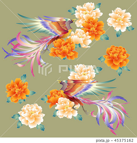 鳳凰と牡丹のイラストのイラスト素材 [45375162] - PIXTA