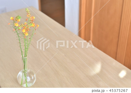 花瓶の花　ブルビネ・フルテスケンス 45375267