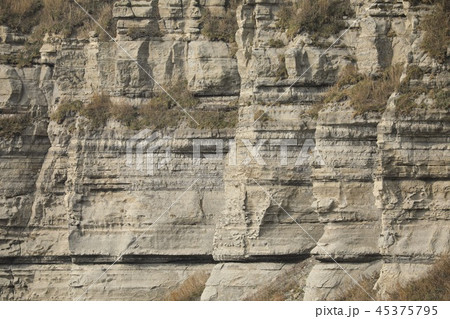 館の岬の地層 45375795