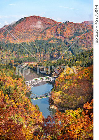 紅葉と只見線　第一只見川橋梁 45376044