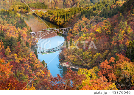 紅葉と只見線　第一只見川橋梁 45376046