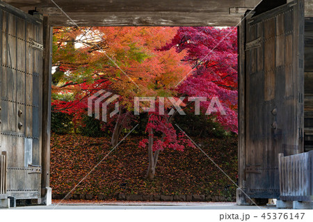 弘前城の紅葉 二の丸南門 南内門 弘前城の紅葉 二の丸南門 南内門 45376147