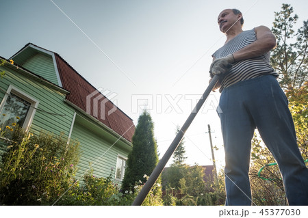 Mature man standing in his garden and resting Mature man standing in his garden and resting 45377030