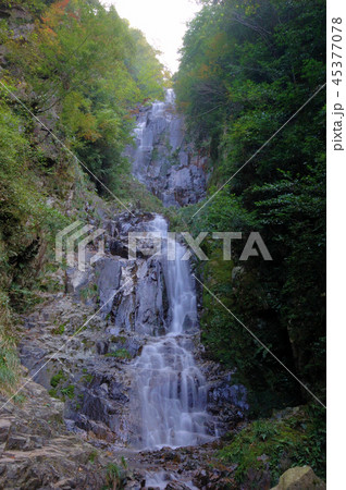 【日本の滝百選】晩秋の常清滝　広島県三次市作木町 45377078