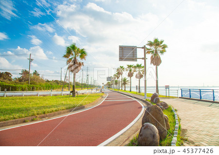 袖ヶ浦海浜公園 45377426