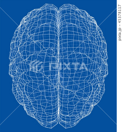 3D outline brain. Vector rendering of 3d 3D outline brain. Vector rendering of 3d 45378117
