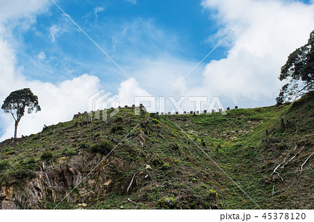 山城　月山富田城　入り口　 45378120