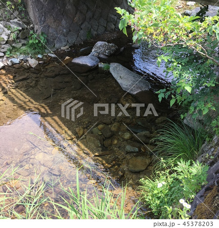 初夏の清流 初夏の清流 45378203