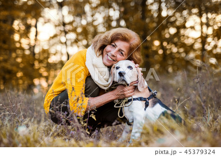 A senior woman with a dog in an autumn nature at sunset. A senior woman with a dog in an autumn nature at sunset. 45379324