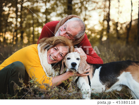 A senior couple with a dog in an autumn nature at sunset. 45380118
