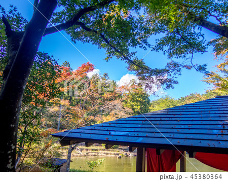 【静岡県伊豆市】秋の日本庭園【修善寺虹の郷】 【静岡県伊豆市】秋の日本庭園【修善寺虹の郷】 45380364