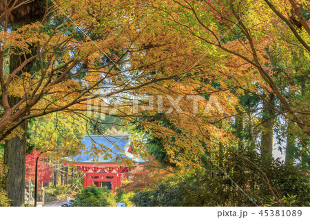 比叡山延暦寺東塔地域 45381089