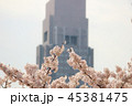 ドコモビルと桜 45381475