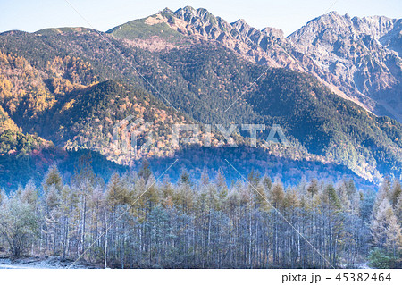 《長野県》秋の上高地・凍結したカラマツ 45382464